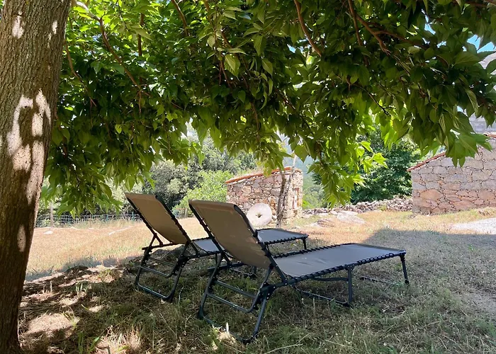 Tradition Corse Et Modernite A Cantina