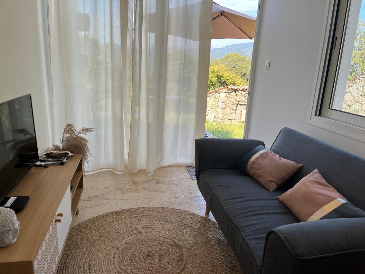 Apartment Tradition Corse Et Modernite A Cantina