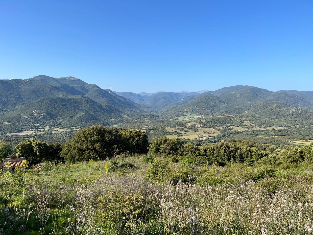 Tradition Corse Et Modernite A Cantina Granace