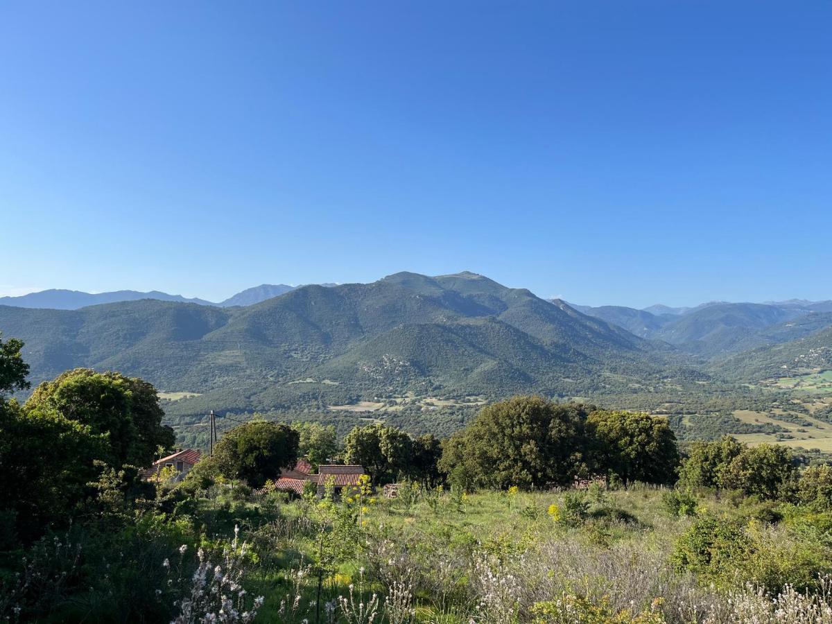 Apartamento Tradition Corse Et Modernite A Cantina