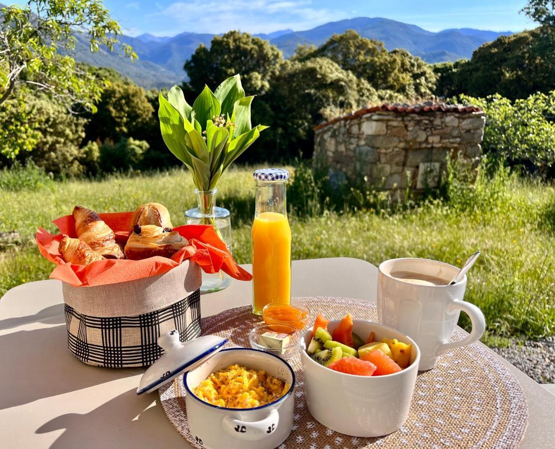 Apartamento Tradition Corse Et Modernite A Cantina *