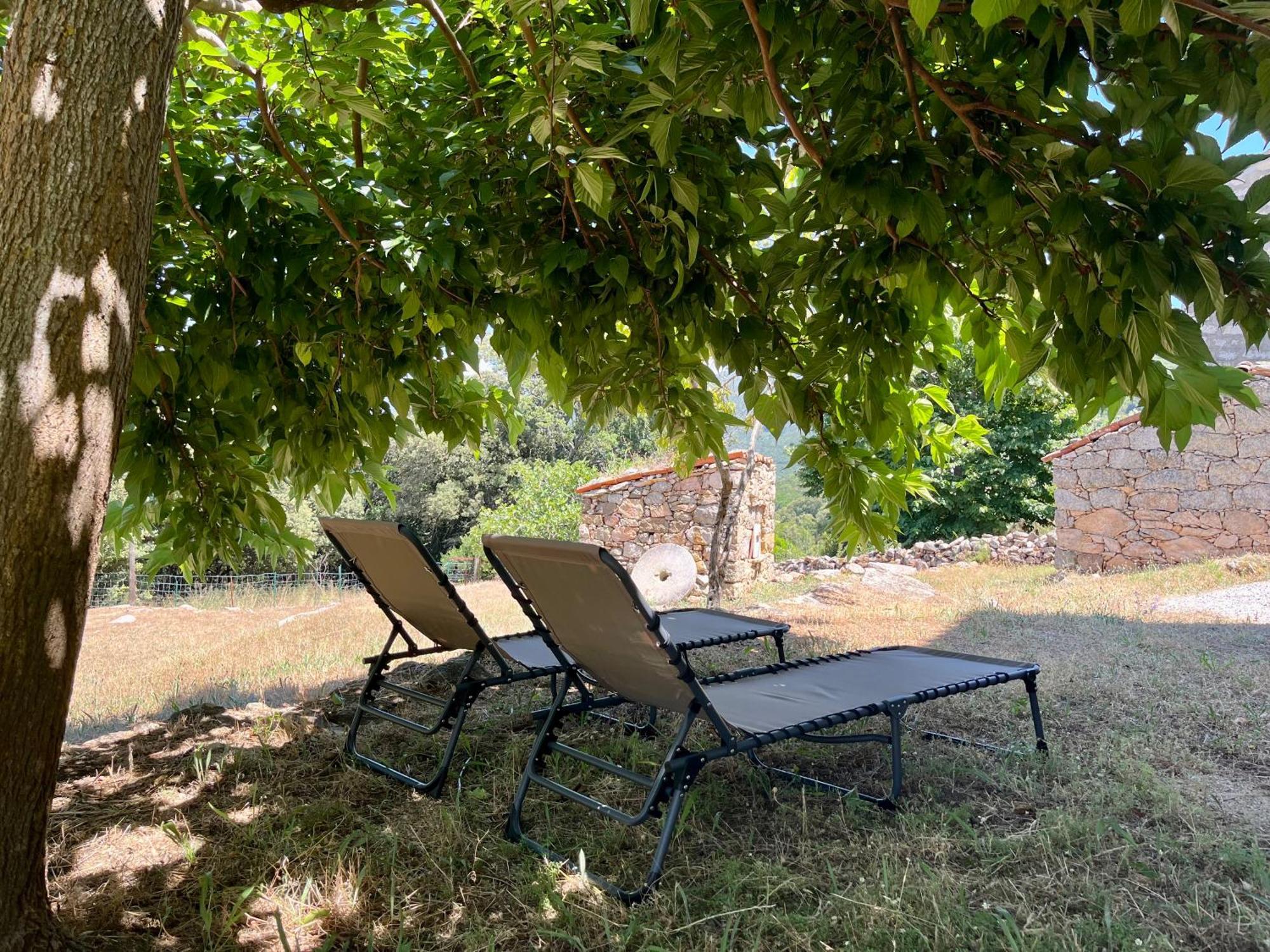 Tradition Corse Et Modernite A Cantina